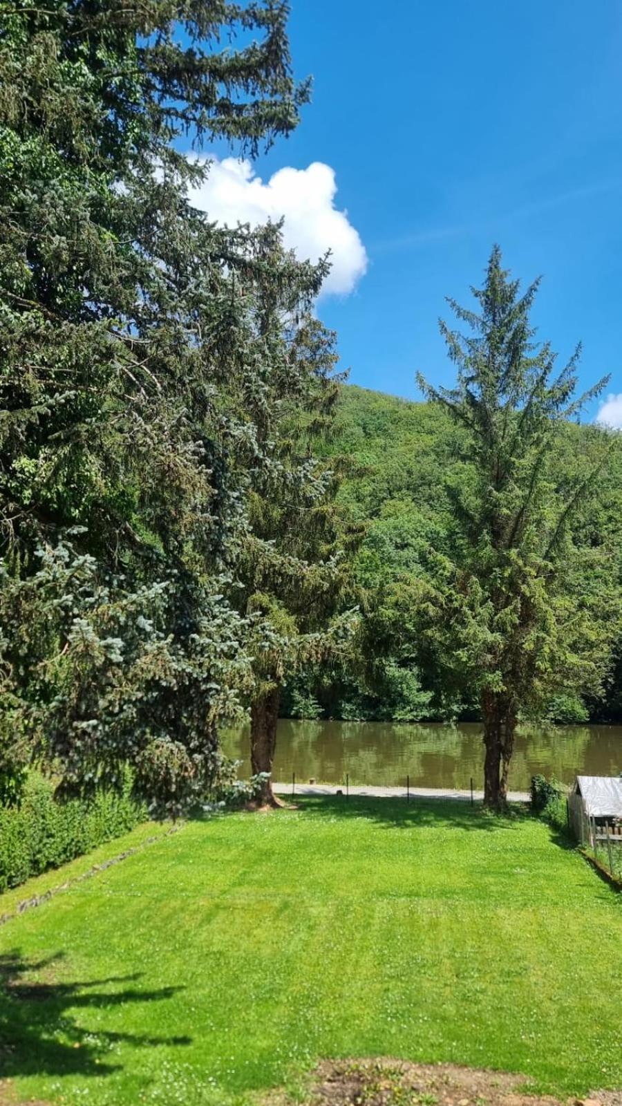 Villa Le Sapin Bleu à Hastiere-par-dela Extérieur photo